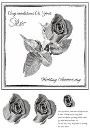 Silver Wedding Anniversary Rose