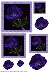 Purple Anemone Card Toppers