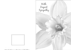 Sympathy Card Black & White Daffodil