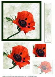 Poppy Pyramid Sheet
