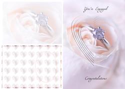 A4 Ring in a Rose Heart Pyramage Kit