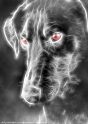Electrix Doberman A4 Card Front Beware of the Dog Sign