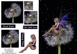 Faery Wishes Good Luck / Birthday / Best Wishes Card Front