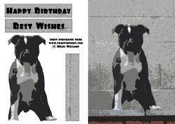Popart Staffordshire Bull Terrier Card Front