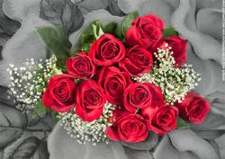 Red Roses & Gypsophila on Textured Black & White Background