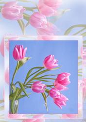 Pink Tulips with Misty Tulip Backing A4 Card