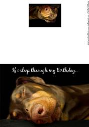 If I Sleep Through My Birthday Doberman Dog Quick Card