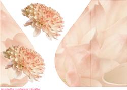 Golden Peach Cream Teardrop Flower Card