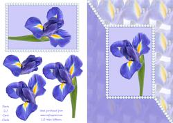 Iris & Pearls Card Front & Decoupage