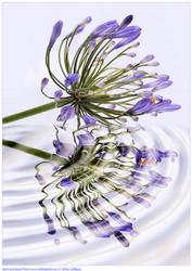 Reflections A4 Card Front