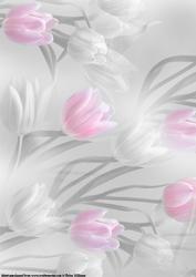 Misty Tulip Black, White & Pink Background