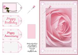 Pink Rose in a Lace & Pearl Frame