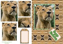 Lioness Pyramage Card Front