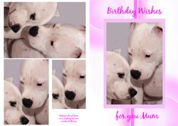 Staffordshire Bull Terrier Mum Birthday Pyramid Card