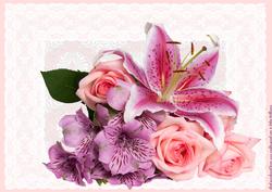 Lily & Rose A4 Topper