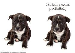 Belated Birthday Puppy Card Front