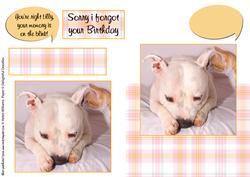 Belated Birthday / Age Related Birthday