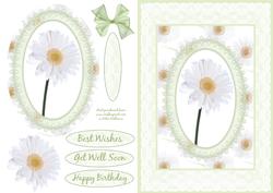 Daisy Dream & Lace
