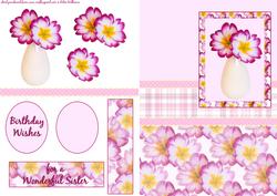 Polyanthus Step by Step