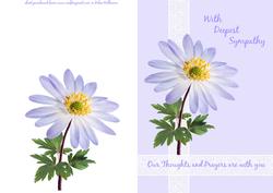 With Deepest Sympathy Anemone Quick Card