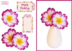 Polyanthus Step by Step Decoupage