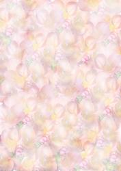 Friesa Dream Background