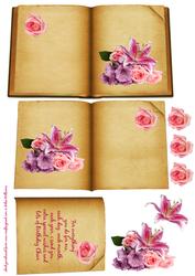 Lily & Rose Birthday Book