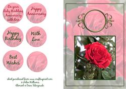 Red Rose Card Ruby Anniversary