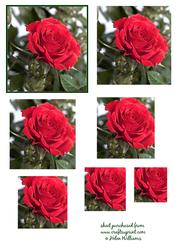 Red Roses Pyramid Topper (part Two for Red Rose Card)