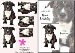 Staffordshire Bull Terrier Puppy Belated Birthday Pyramid