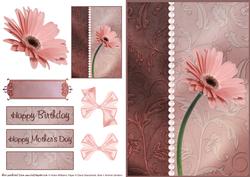 Salmon Pink Gerbera Card Front
