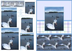 Swan Lake Pyramid