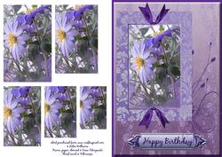 Purple Anemone Framed Pyramid