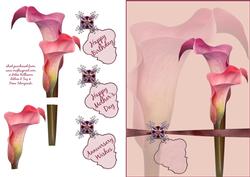 Cala Lily Step by Step
