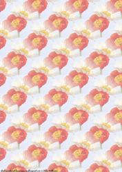 Poppy Duo Vellum