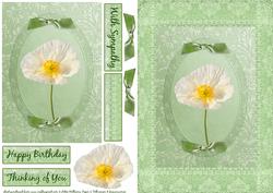 White Poppy on Pale Green Step by Step