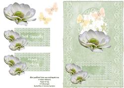 White Anemone on Pale Green Lace