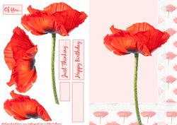 Poppy Step by Step