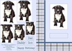 Puppy Pyramid Blue Check.