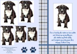 Puppy Ditty Father's Day Pyramid Blue Check