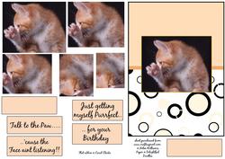 Talk to the Paw 'cause the Face Aint Listening Pyramid
