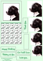 Puppy & Circles Pale Green Dl Pyramid