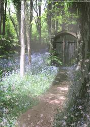 Fairy Home in Bluebell Woods Background