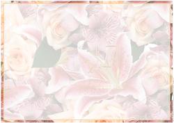Lily & Rose Insert