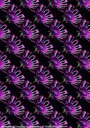 Osteo Daisy Backing Paper