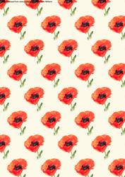 Poppy on Cream Background Large Flower