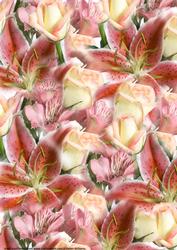 Lily & Rose Bouquet Paper in Peach