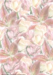 Lily & Rose Bouquet Vellum in Peach
