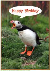 Puffin Large Birthday Topper