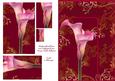 Indian Summer Cala Lily Anniversary Card Daughter